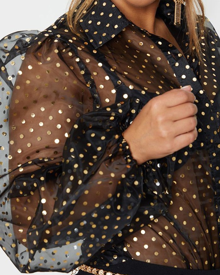 EMMIOL Poka Dot Mesh Sheer Blouse