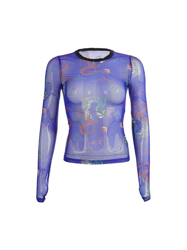 EMMIOL Dragon Print Sheer Mesh Top